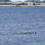 6 Person On A In *